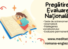 meditatii online avantajele meditatiilor online pentru evaluarea nationala