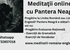 meditatii online cu pantera neagra