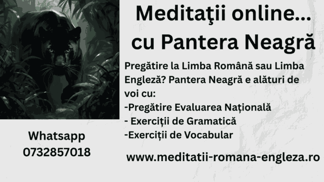 meditatii online cu pantera neagra