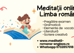 meditatii online la limba romana solutia flexibila pentru succes scolar