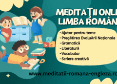 meditatii online la romana cum sa obtii note mari de acasa