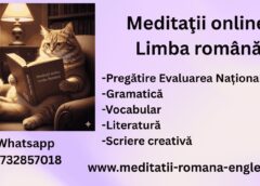 dezvoltarea creativități prin meditații online