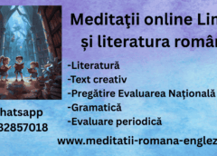 dezvoltarea creativitatii cu meditatii online la limba romana