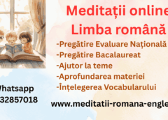 elevul digital meditatii online limba romana pentru reusita scolara