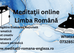 meditatii online interactive la limba română