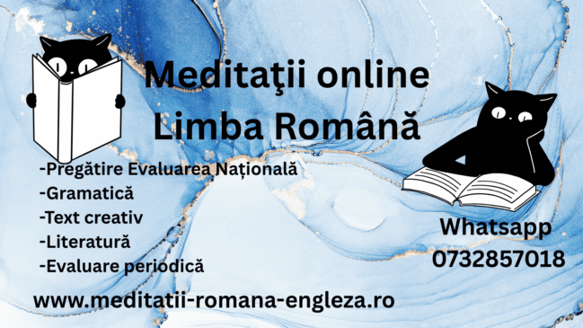 meditatii online interactive la limba română