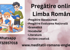 pregatire online la romana exceleaza la gramatica si literatura