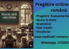 pregătire online limba romana
