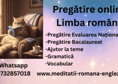 pregătire online limba română primul pas către cunoaștere