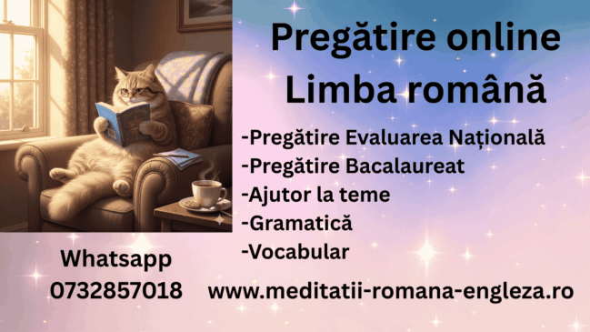 pregătire online limba română primul pas către cunoaștere