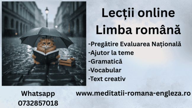 cod roșu de lecții online la română