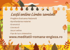 cum alegi cele mai bune sesiuni de lecții online la limba română