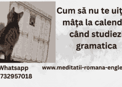 cum sa nu te uiti ca mâța la calendar când studiezi gramatica