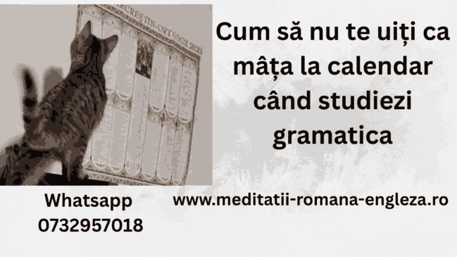 cum sa nu te uiti ca mâța la calendar când studiezi gramatica
