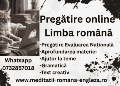 elevi de nota zece doar cu pregătire online la limba română