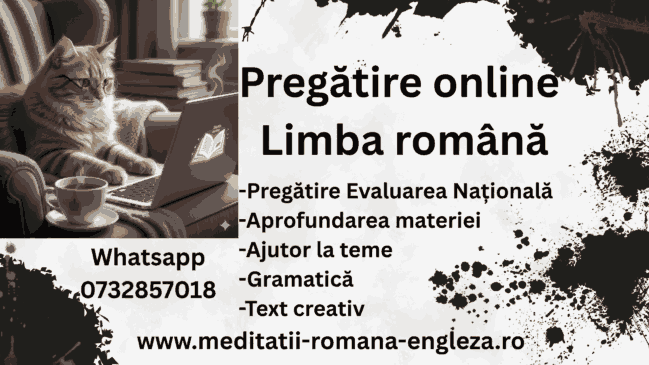 elevi de nota zece doar cu pregătire online la limba română