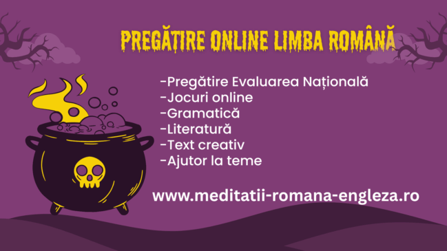 ingredientele succesului doar cu pregătirea online la română