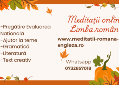 Învață româna cu un meditator online