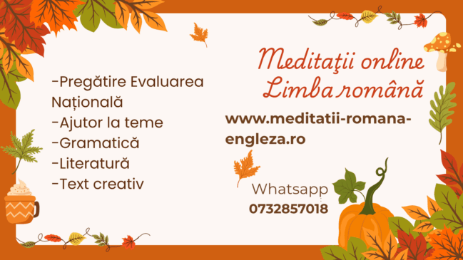 Învață româna cu un meditator online