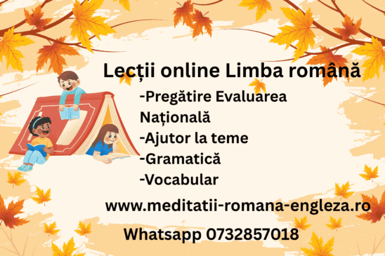 lecții online pentru un examen de nota zece