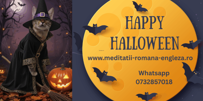 pisicile sarbatoresc halloween cu meditatii online