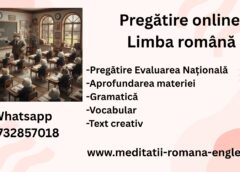 pregatirea online la romana o poveste de succes