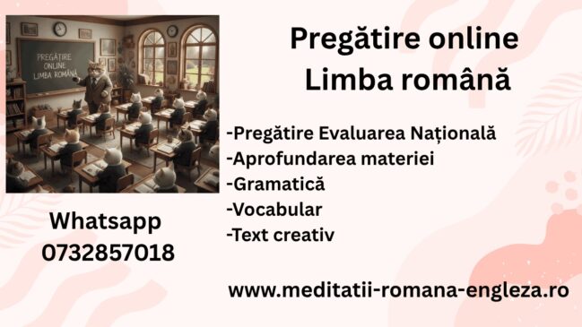 pregatirea online la romana o poveste de succes