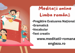 limba româna predată inteligent cu meditații online