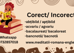 ora de gramatica online