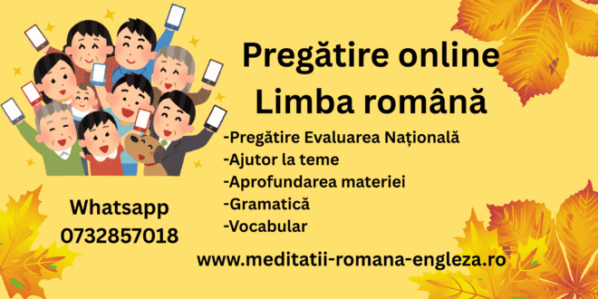 pregatire limba română online flexibil, eficient, gata de examen