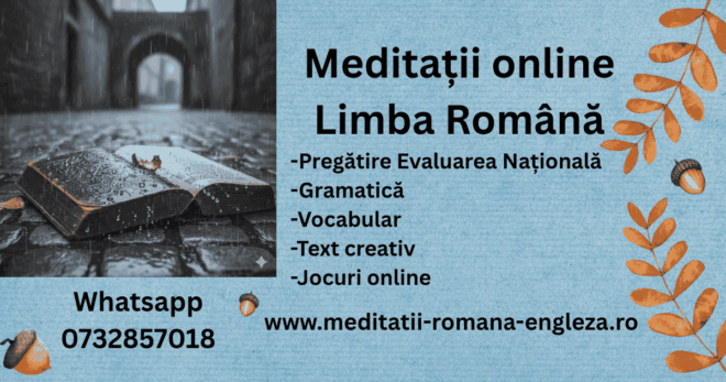 zile ploioase, performanță școlară cu meditații online la română