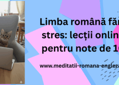 limba română fără stres lecții online pentru note de 10