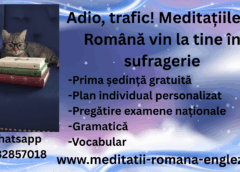 Adio, trafic! Meditațiile la Română vin la tine în sufragerie Adio, trafic! Meditațiile la Română vin la tine în sufragerie