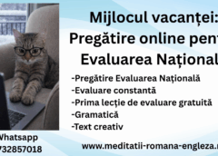Mijlocul vacanței: Pregătire online pentru Evaluarea Națională Mijlocul vacanței: Pregătire online pentru Evaluarea Națională