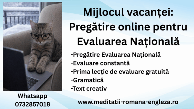 mijlocul vacanței pregătire online pentru evaluarea națională