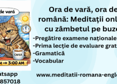 ora de vară, ora de română meditații online cu zâmbetul pe buze! (1)