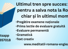 ultimul tren spre succes 5 pași pentru a salva nota la română chiar și în ultimul moment (1)